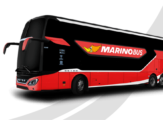 MARINO BUS